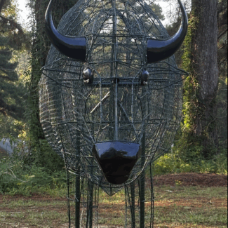Lifesize Buffalo - Bison Frame | TOPIARYTREE.NET