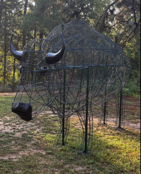 Wire-mesh bison topiary frame, side view, showing full body and legs