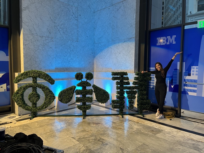 IBM LOGO 1