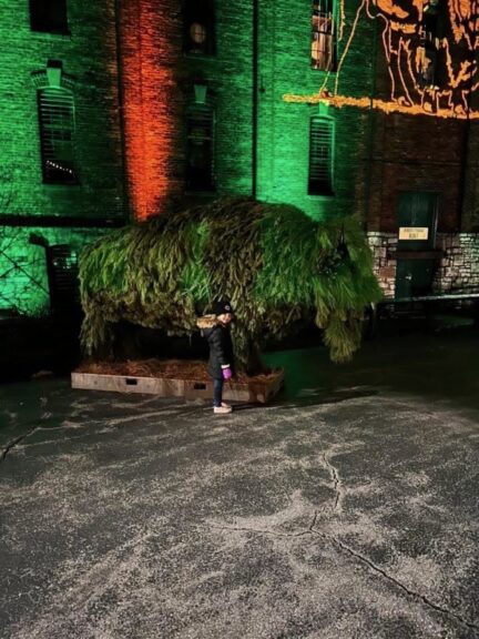 Evergreen-draped bison topiary displayed outdoors at night among colored building lights