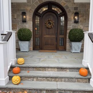 36 inch Diameter Preserved Boxwood Ball Topiary | TOPIARYTREE.NET