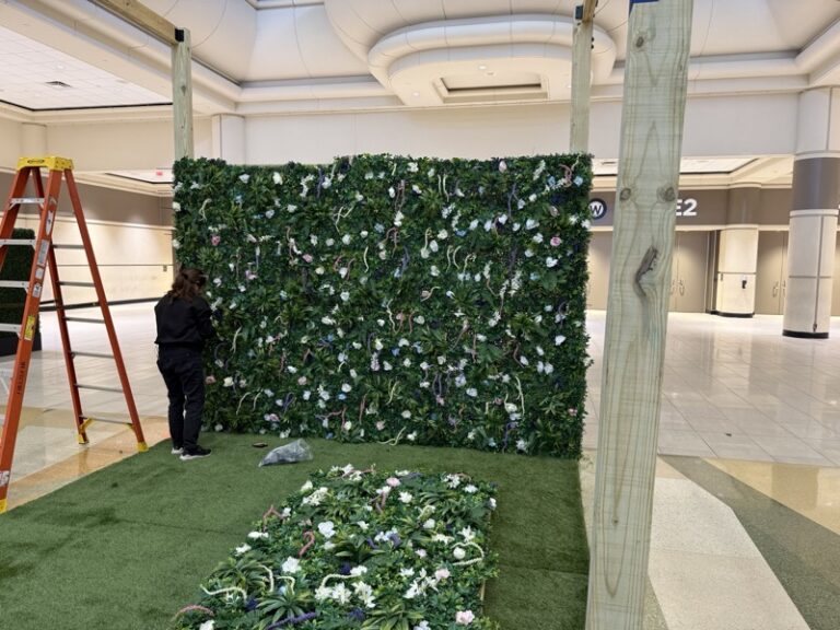 Building the wall