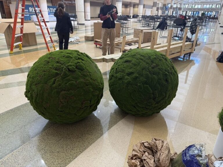 Two large moss-covered spheres on a show floor, with crew building nearby exhibit pieces in the background.