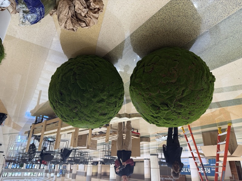 Topiary balls staged as part of the exhibition setup