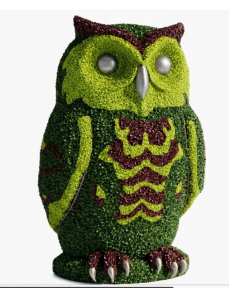 Multi-color boxwood owl topiary shown upright, full figure