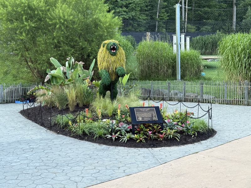 Rearing Lion Topiary, 9 ft Rearing Lion Topiary, 9 ft
