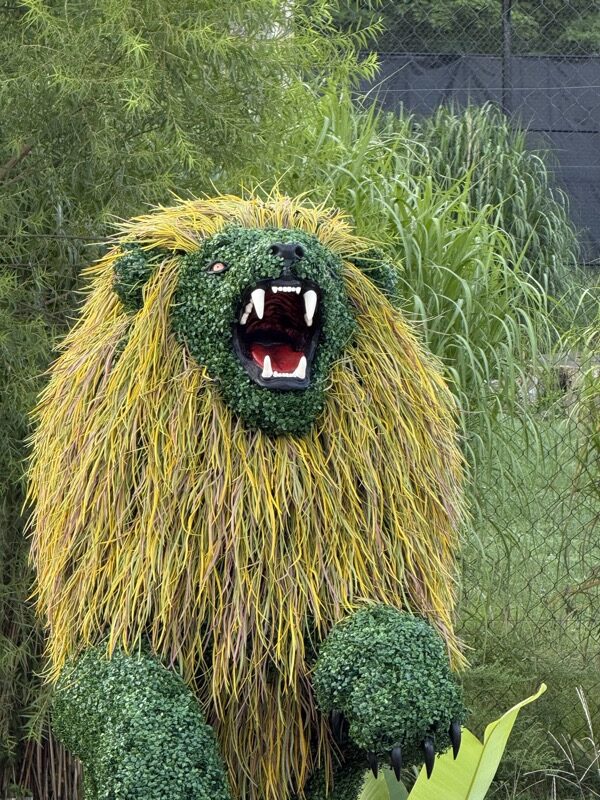 Rearing Lion Topiary, 9 ft Rearing Lion Topiary, 9 ft