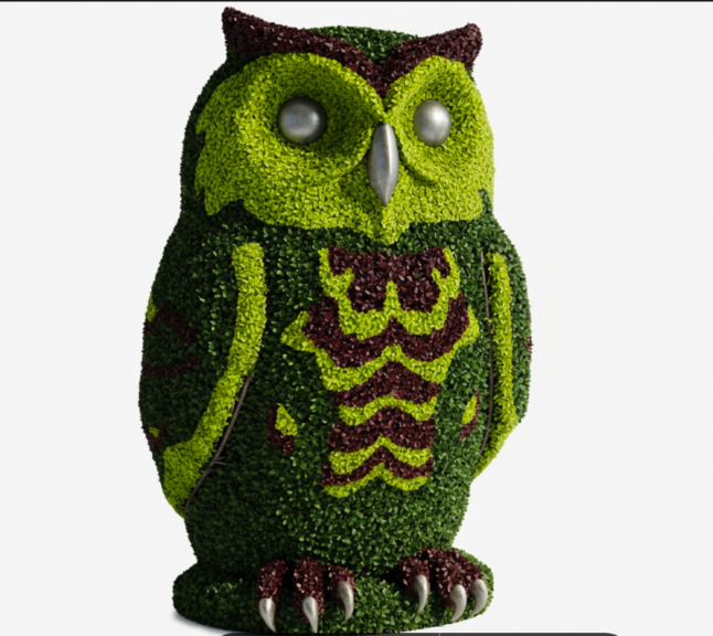 Multi-color boxwood owl topiary graphic or photo, close-up view