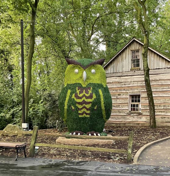 Multi-color boxwood owl topiary photographed outdoors near a building