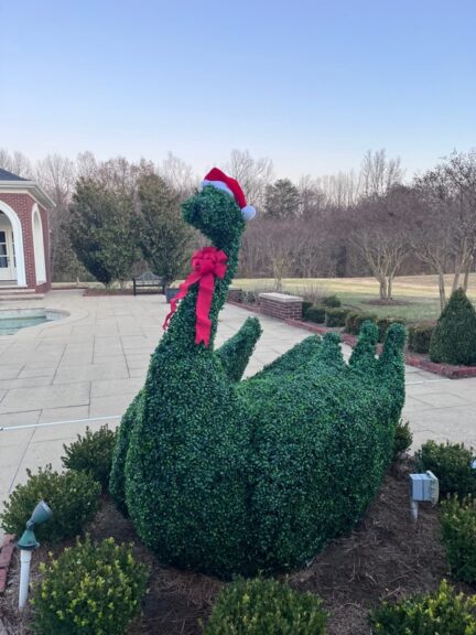 Commercial Outdoor Topiary Projects. This is what we do!