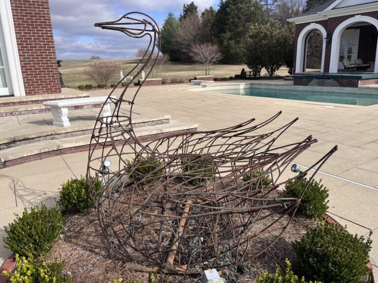Swan topiary frame after old foliage was stripped and galvanized metal spray applied