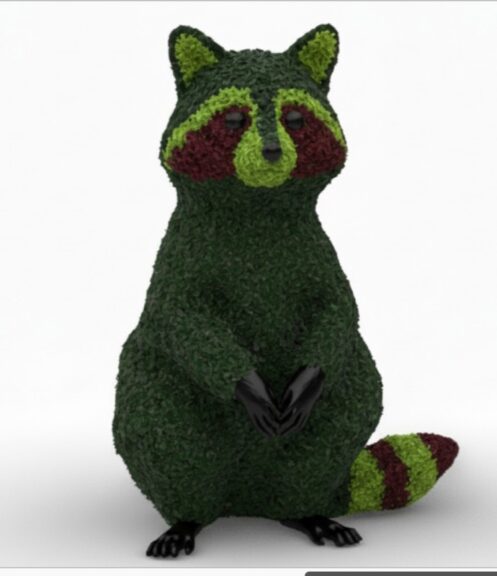 Raccoon topiary shown sitting upright, in multi-color boxwood foliage