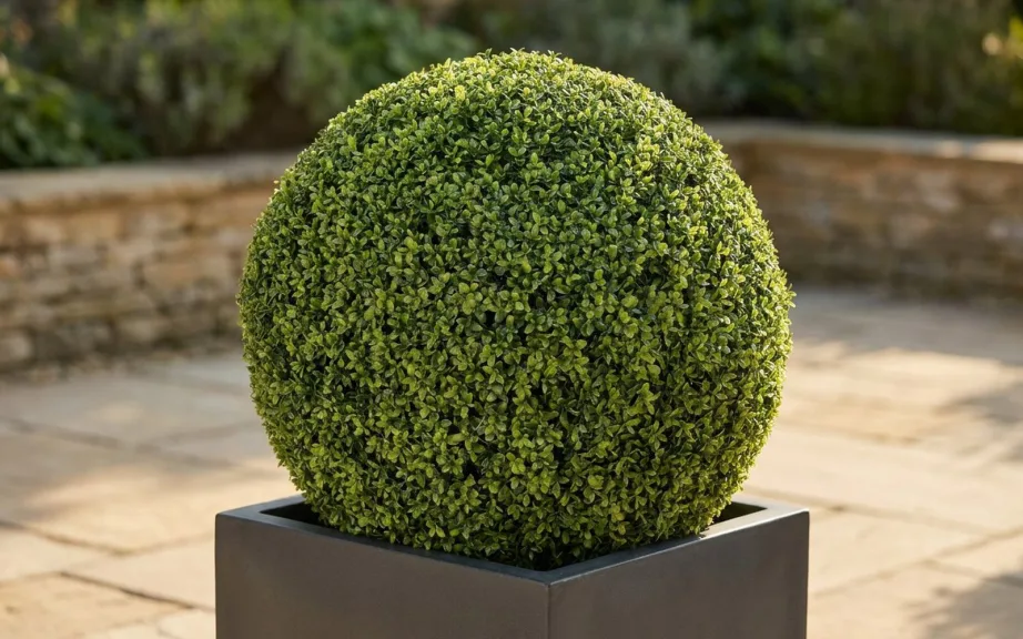 A close view of an artificial boxwood ball in a charcoal planter on a sunny stone terrace, with several shades of green and fine stems visible between the leaves.