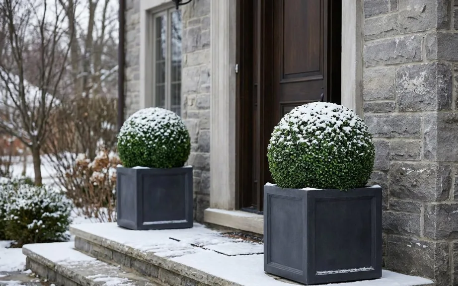 Two artificial boxwood balls in charcoal planters with a light dusting of snow either side of the front door of a stone house.