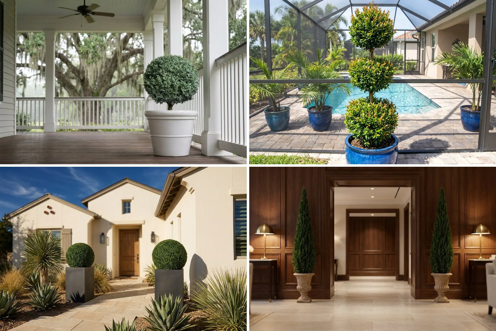 Topiary in Heat and Humidity: What Survives the Gulf and the Southwest