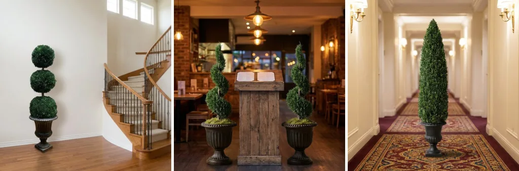 A preserved triple ball topiary in a black urn in a stair hall, a pair of preserved spirals in urns at the host stand of a restaurant, and a tall preserved cone on a patterned runner in a hotel corridor.