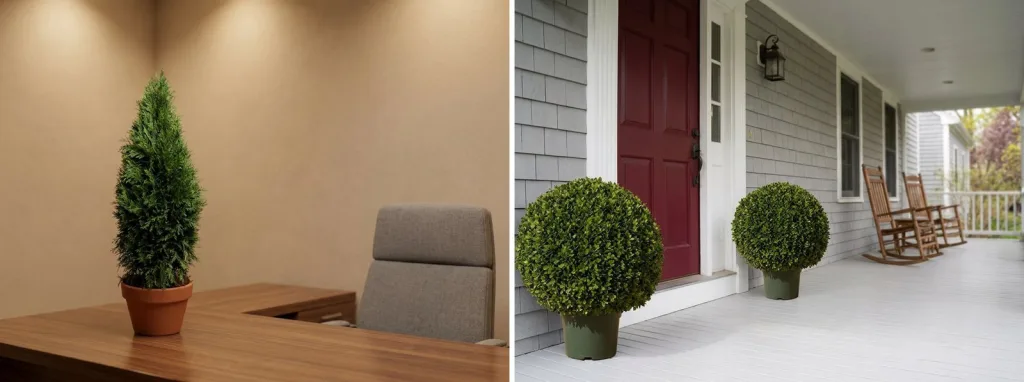 A preserved cone topiary in a terracotta pot on an office desk away from the window, and a pair of artificial boxwood balls on a covered front porch by a red door.