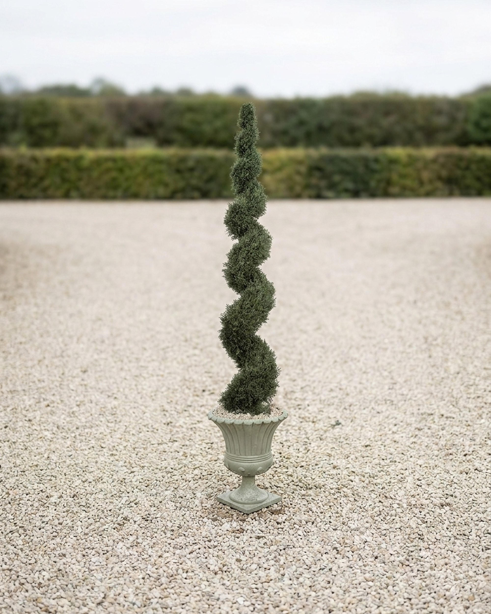 Spiral Cypress Topiary, 10 ft Spiral Cypress Topiary, 10 ft