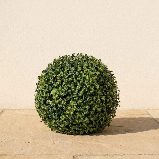 10-Inch Traditional Boxwood Ball Topiary