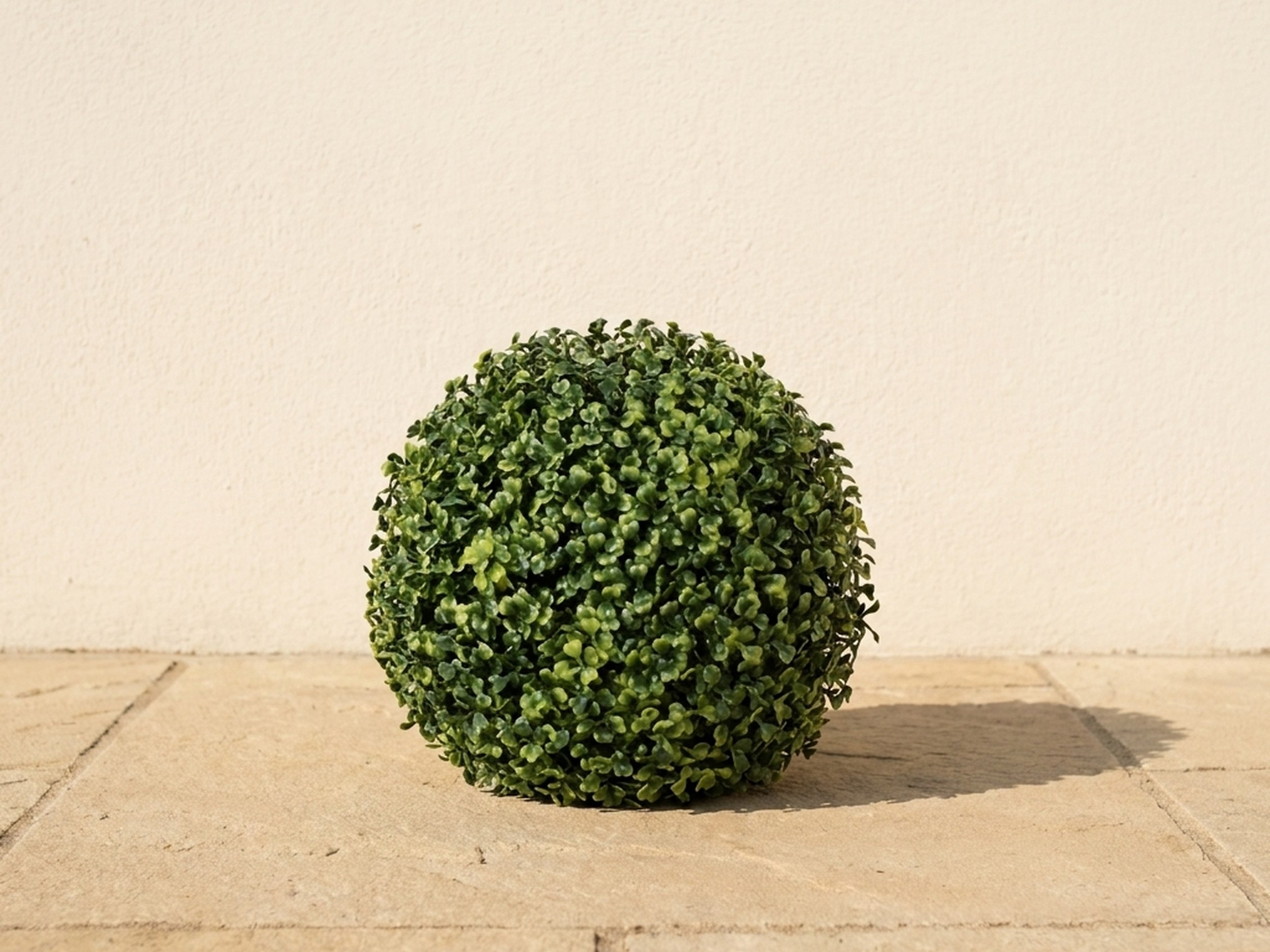 Traditional Boxwood Ball Topiary, 10 in