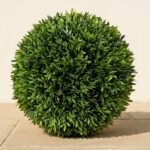 10-Inch Podocarpus Topiary Ball