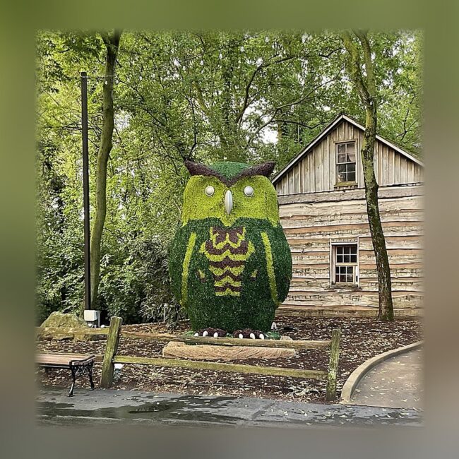 Topiary Owl, Multi-Color Outdoor Boxwood, 11 ft
