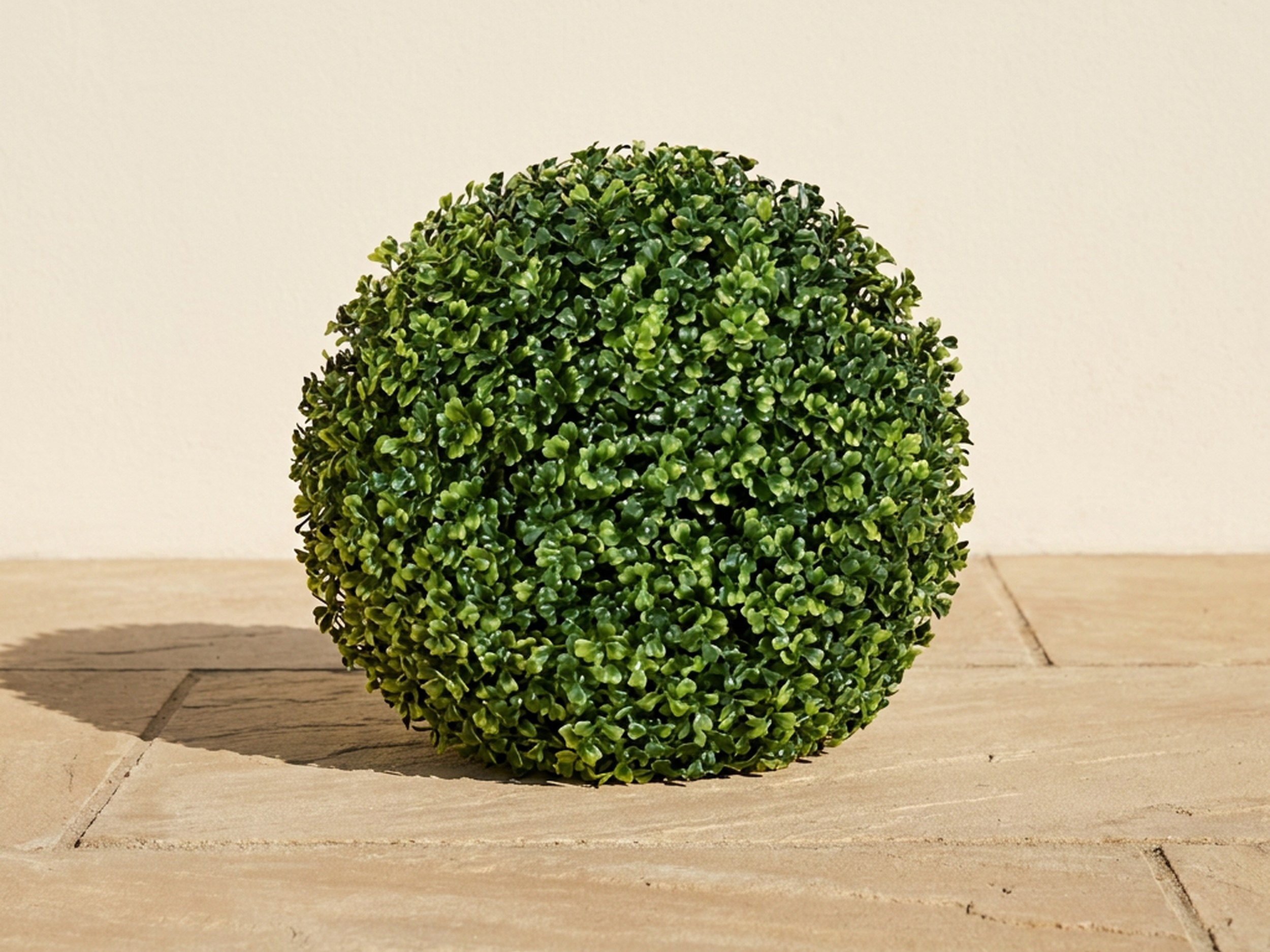 Traditional Boxwood Ball Topiary, 12 in Traditional Boxwood Ball Topiary, 12 in
