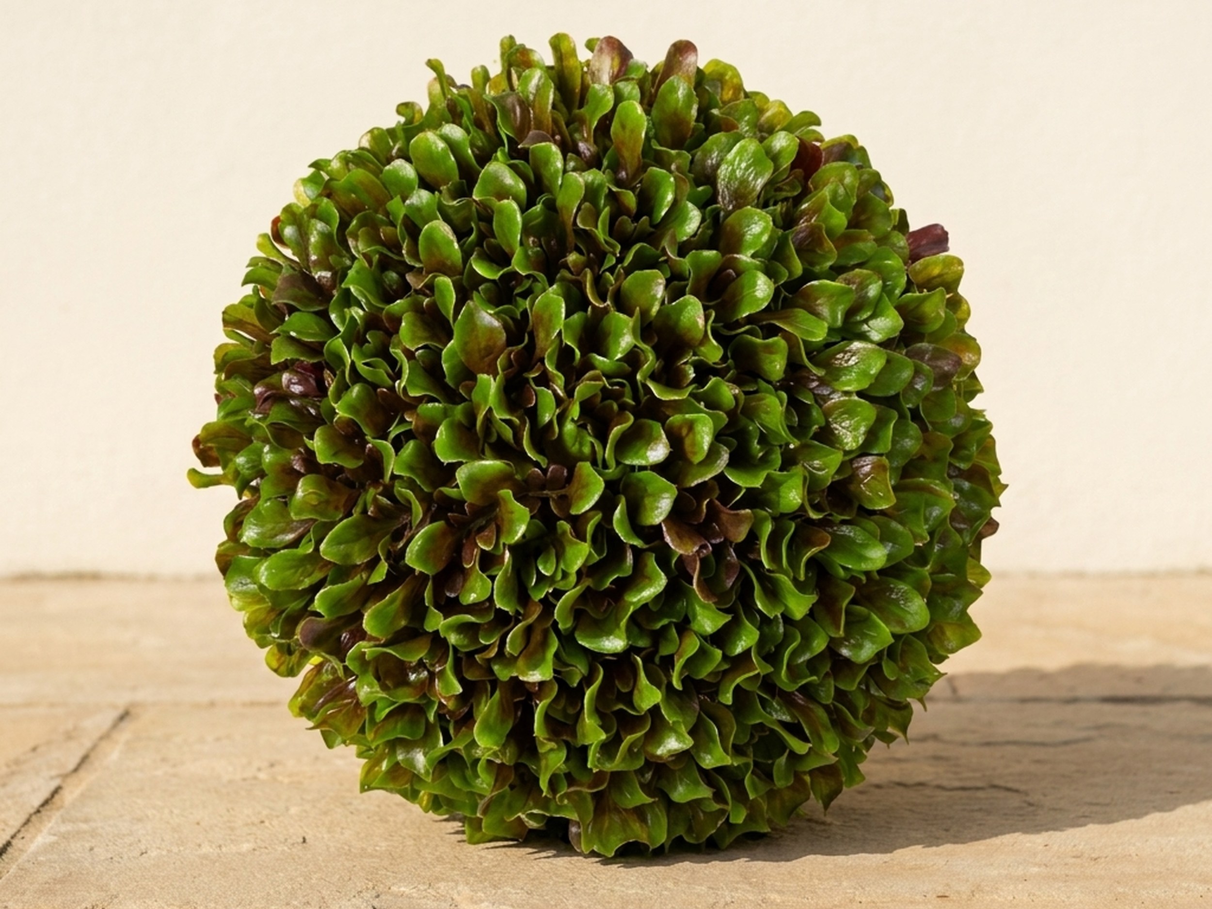 Leaf Ball Topiary, 13 in Leaf Ball Topiary, 13 in