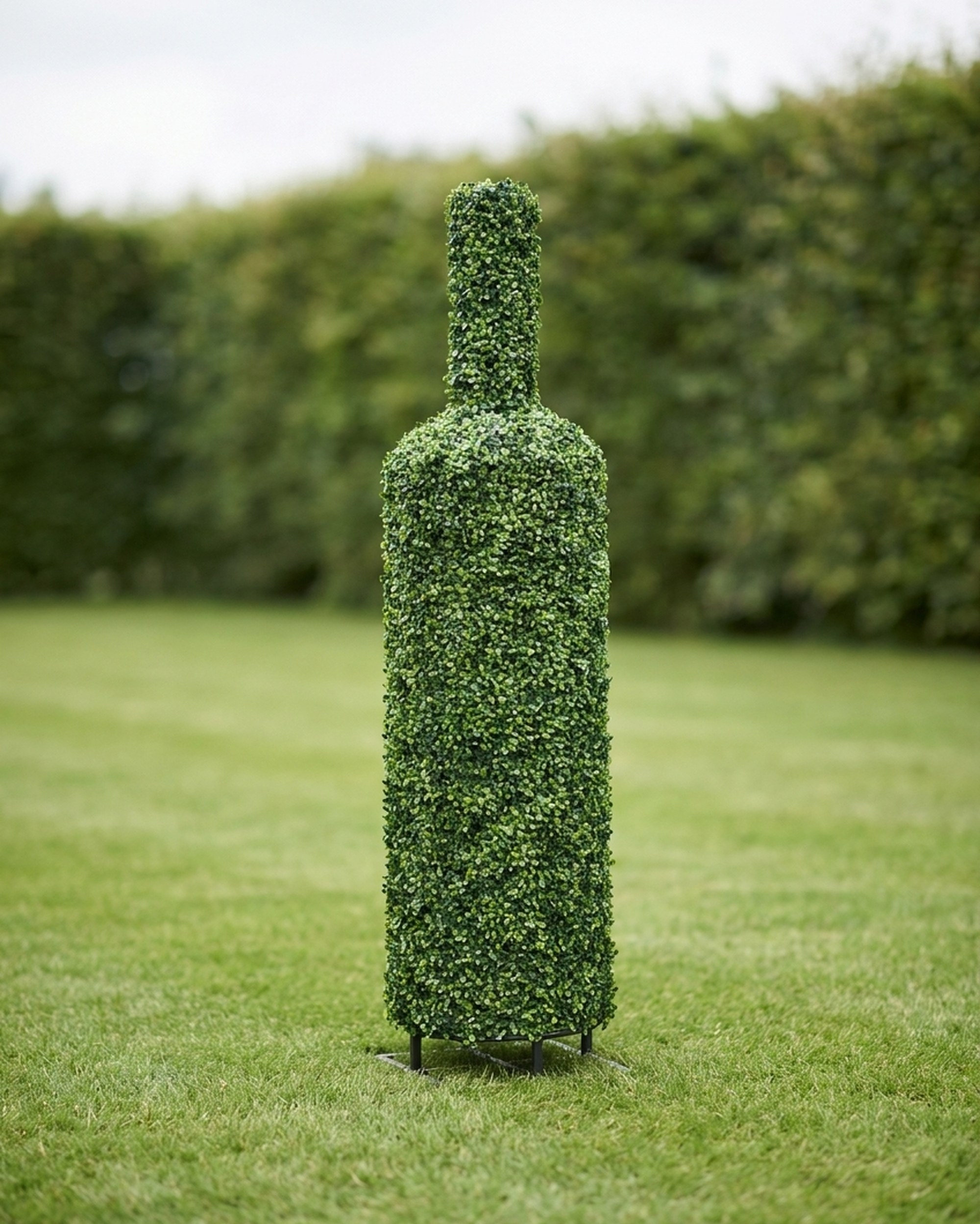 Bacardi Bottle Boxwood Topiary