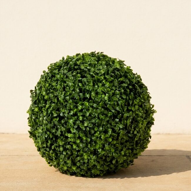 Boxwood Ball Topiary, 12–14 in