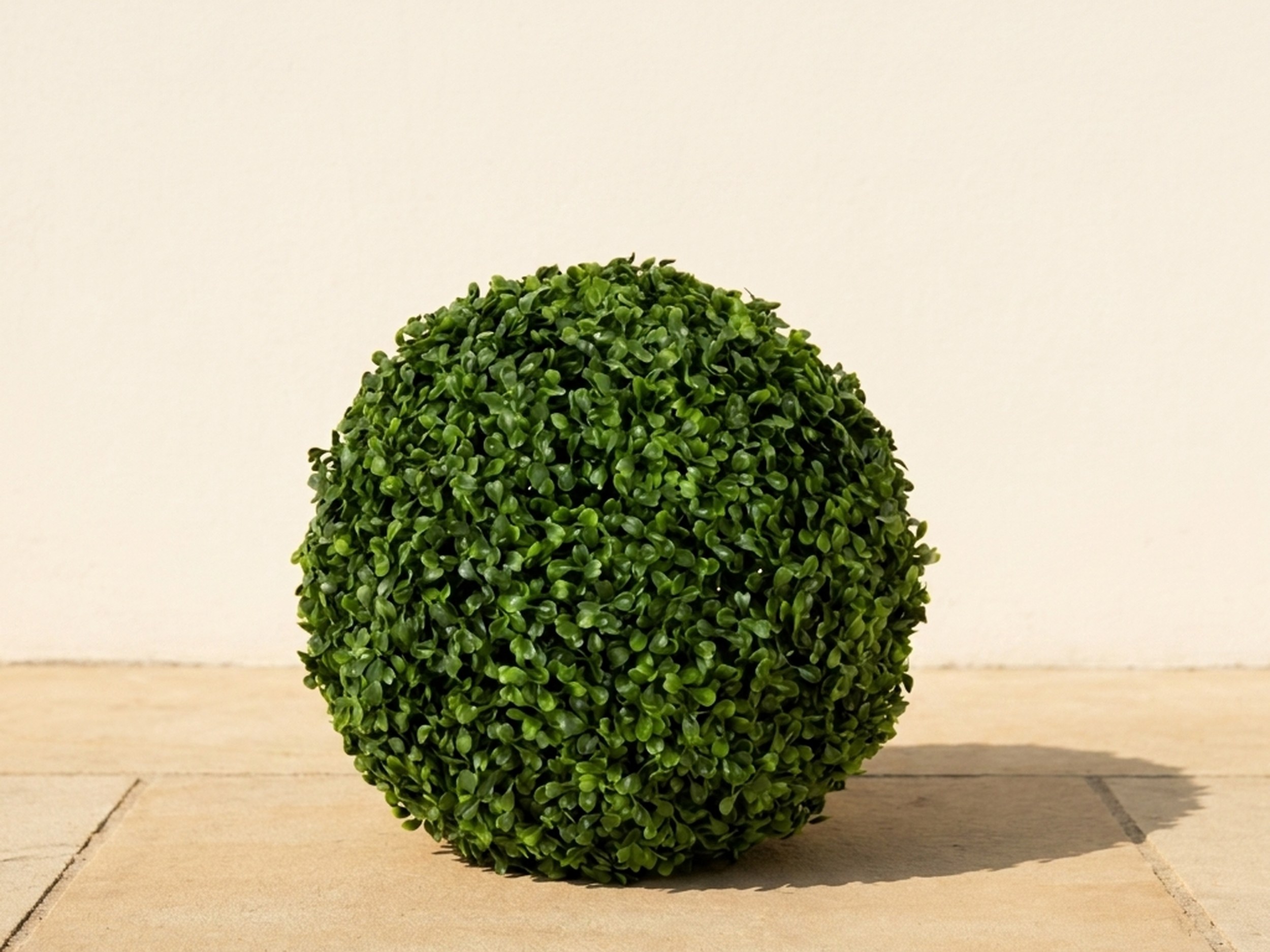 Boxwood Ball Topiary, 14 in Boxwood Ball Topiary, 14 in