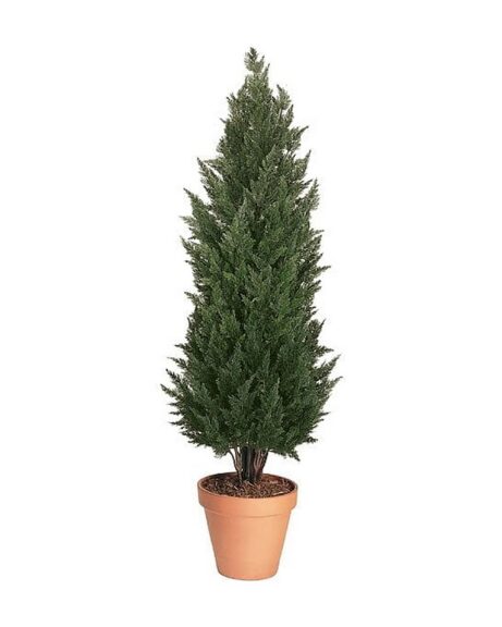 Large Outdoor Cypress Topiary Tree, 144 In