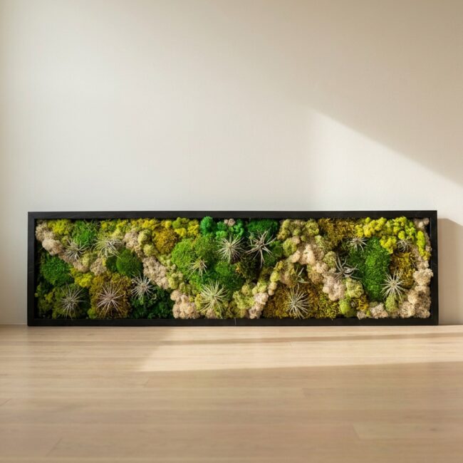 14×48 Preserved Moss & Air Plant Wall Art