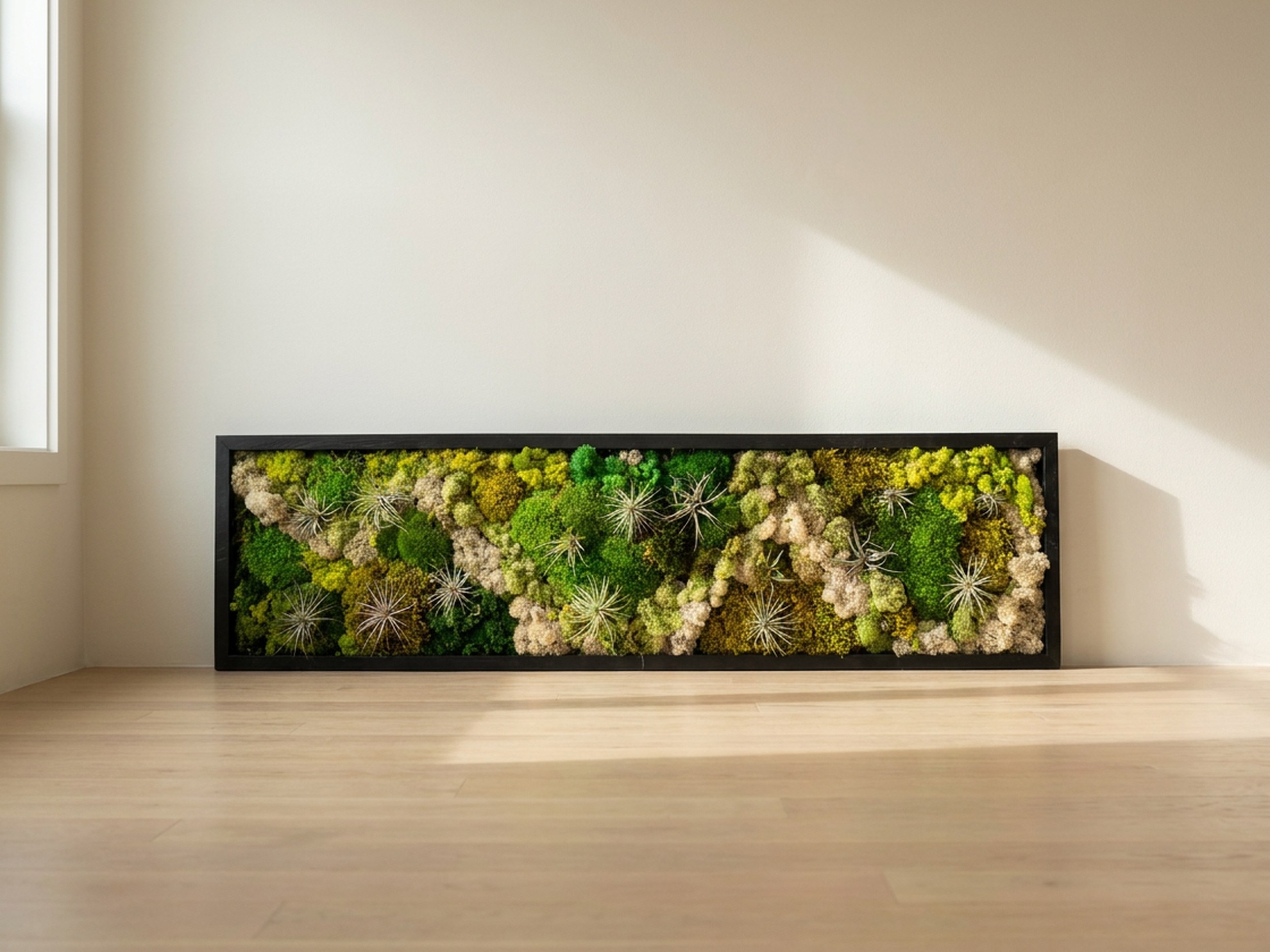 14x48 Preserved Moss & Air Plant Wall Art 14x48 Preserved Moss & Air Plant Wall Art