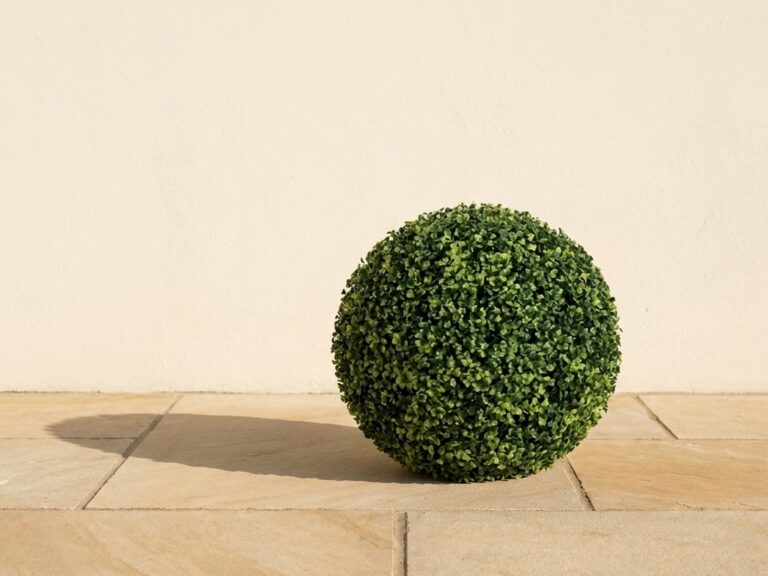 Outdoor Traditional Boxwood Ball Topiary, 15 in