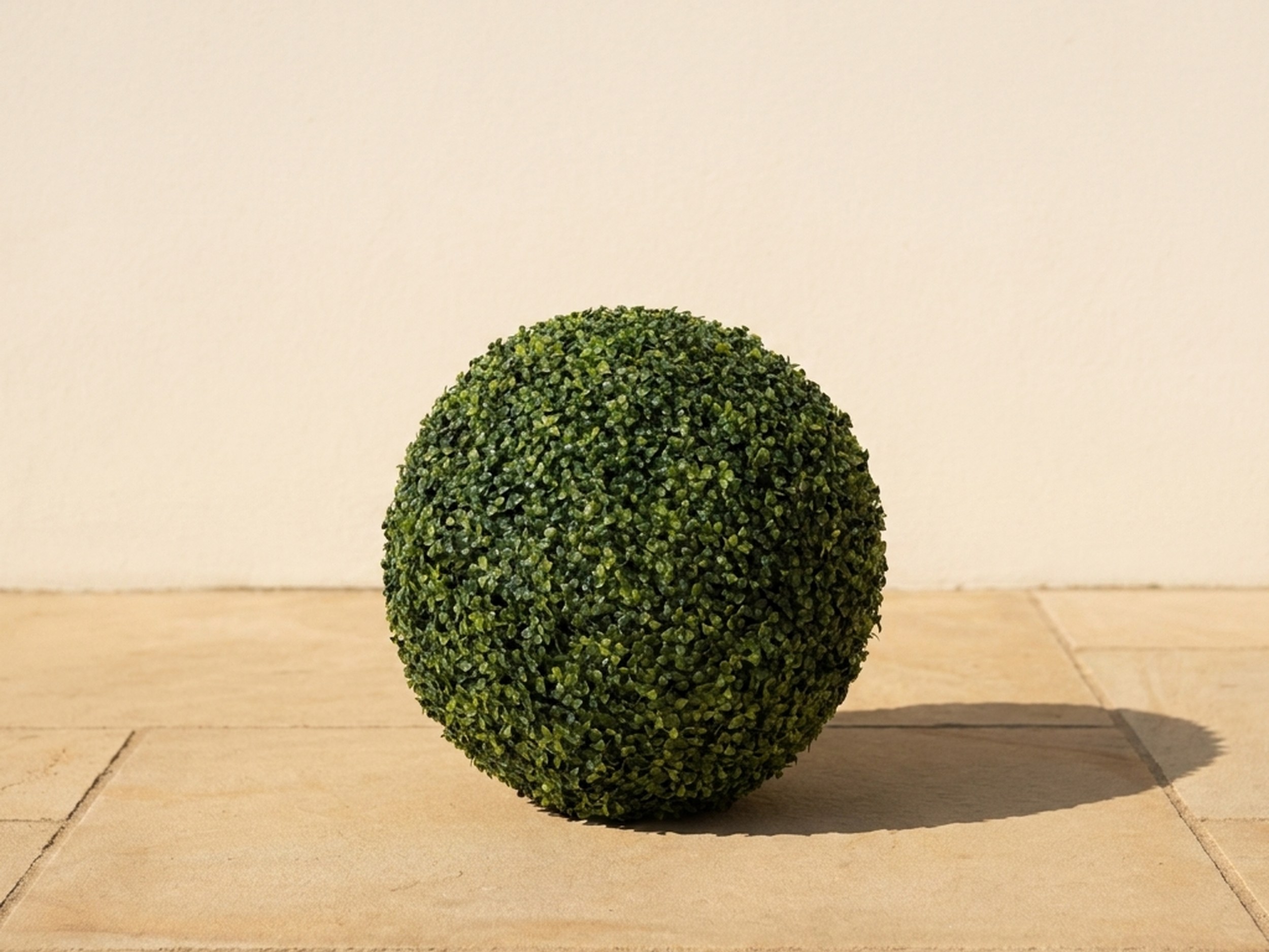 Traditional Boxwood Ball Topiary, 20 in