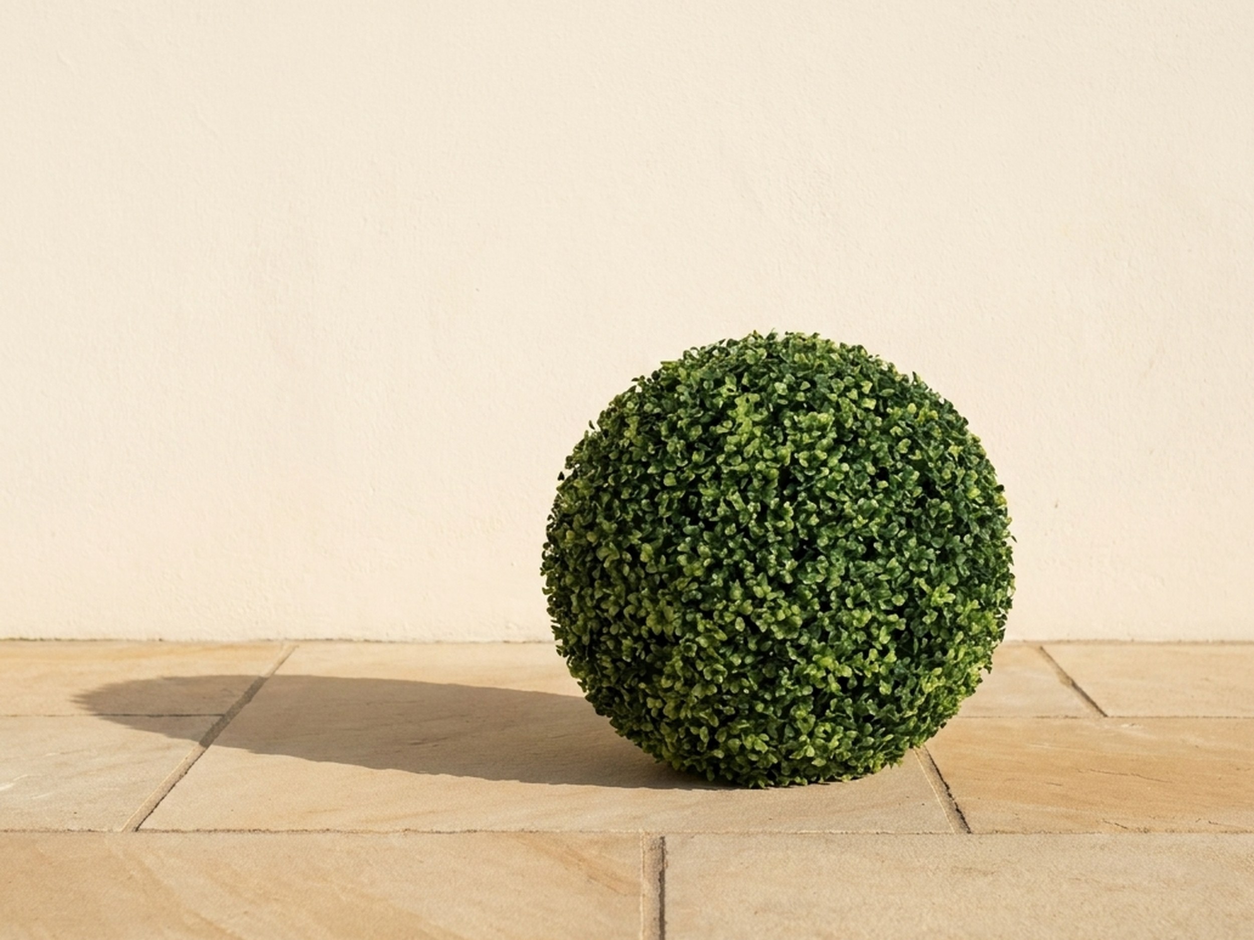 Traditional Boxwood Ball Topiary, 15 in