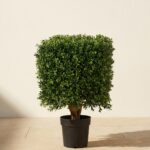 UV-Resistant Boxwood Square Topiary, 21 in