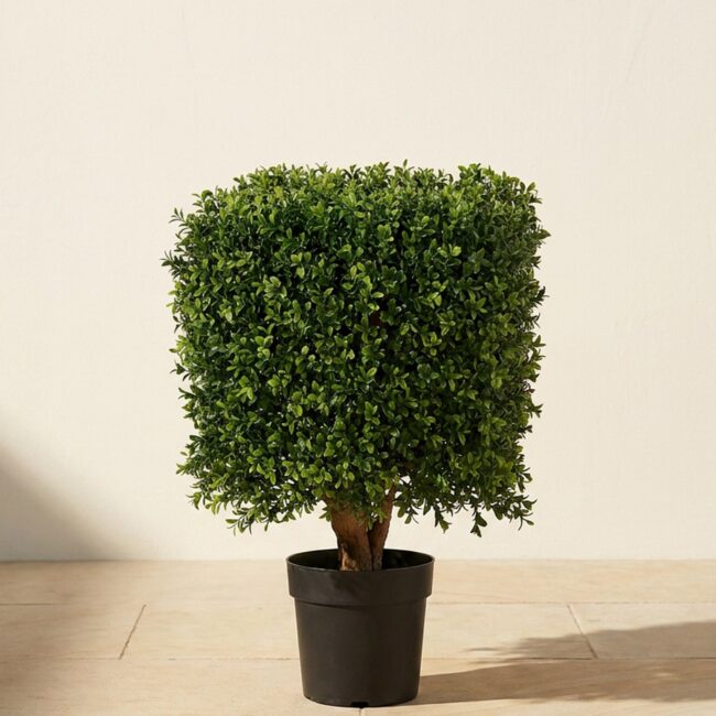 UV-Resistant Boxwood Square Topiary, 21 in