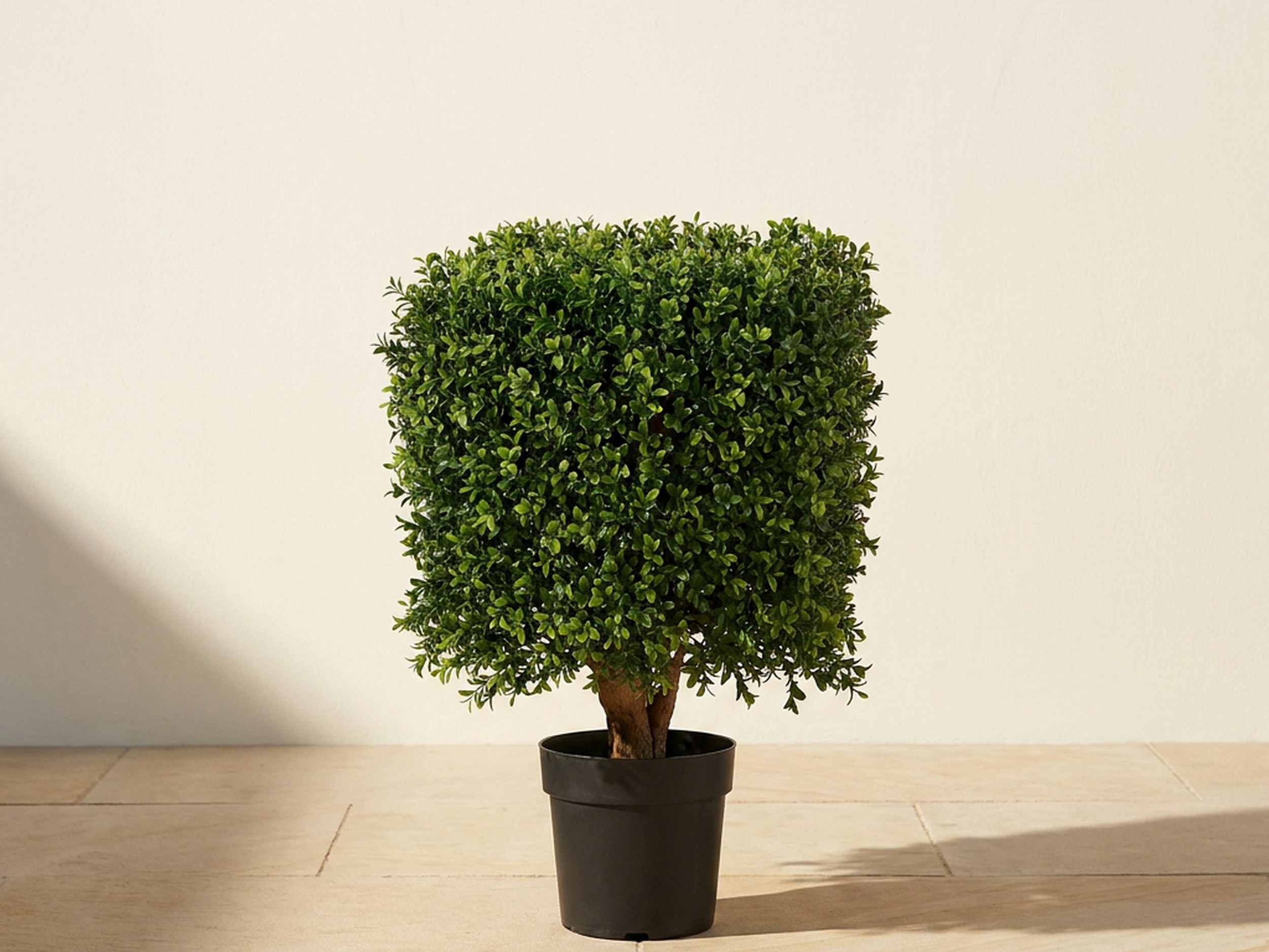 UV-Resistant Boxwood Square Topiary, 21 in UV-Resistant Boxwood Square Topiary, 21 in