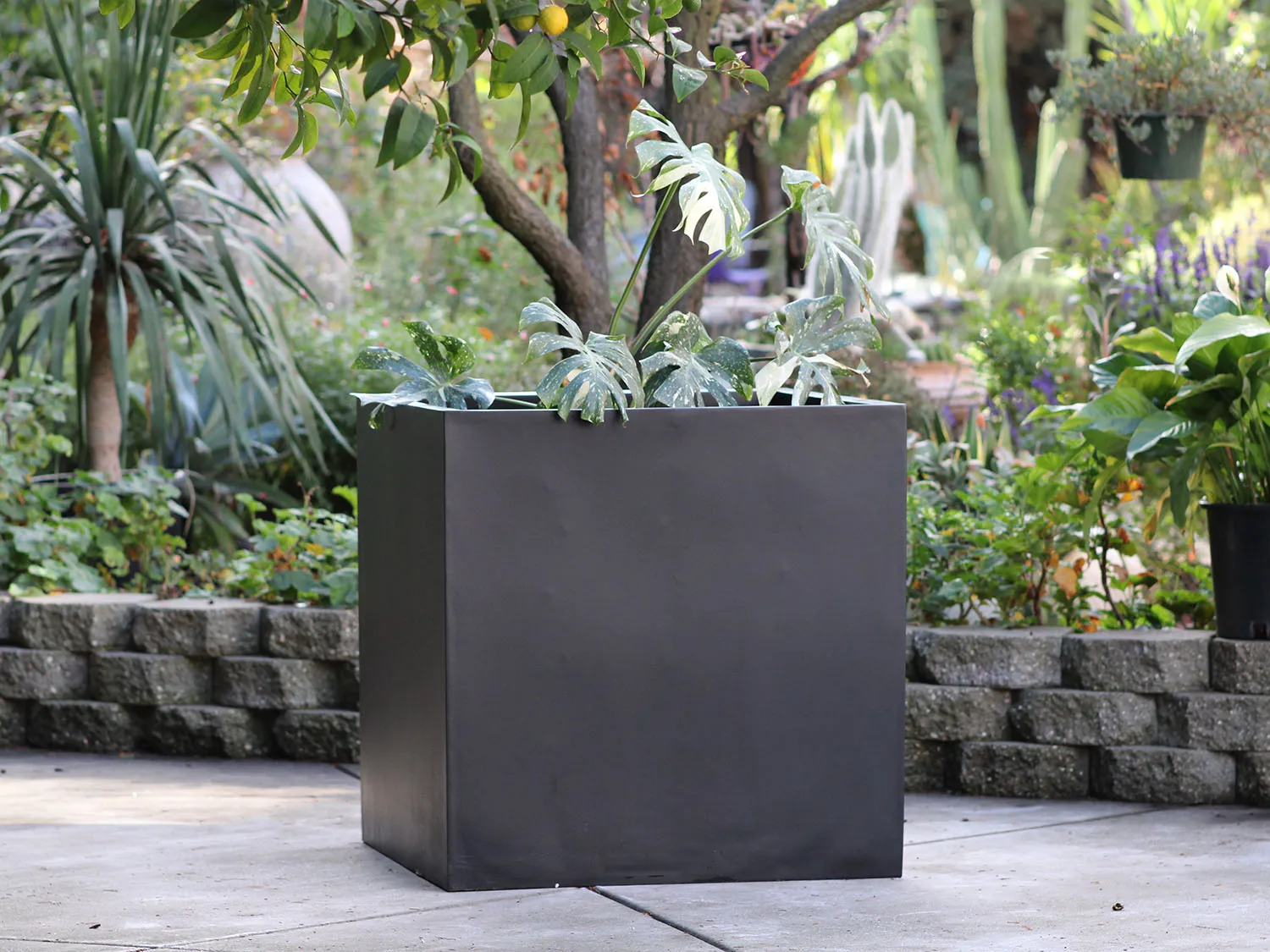 Cube Planter