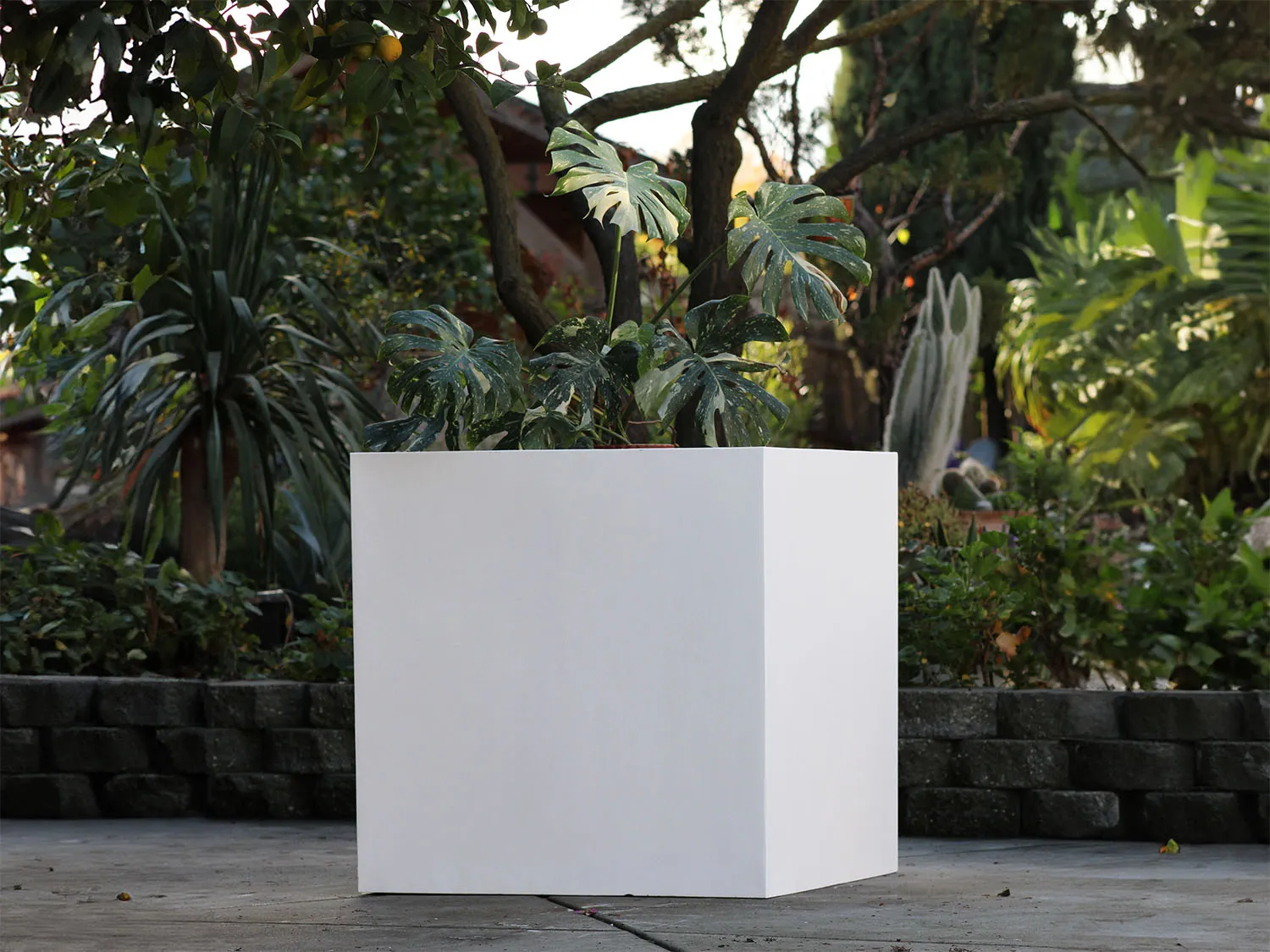 fibreglass: Cube Planter