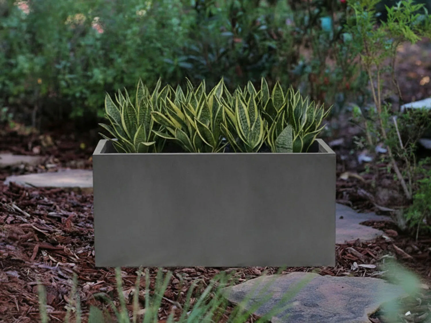Rectangular Box Planter