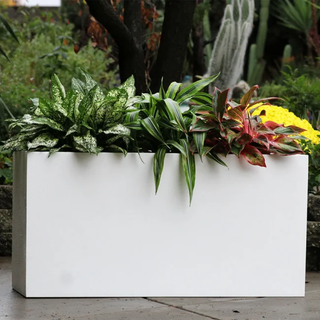 Rectangular Box Planter