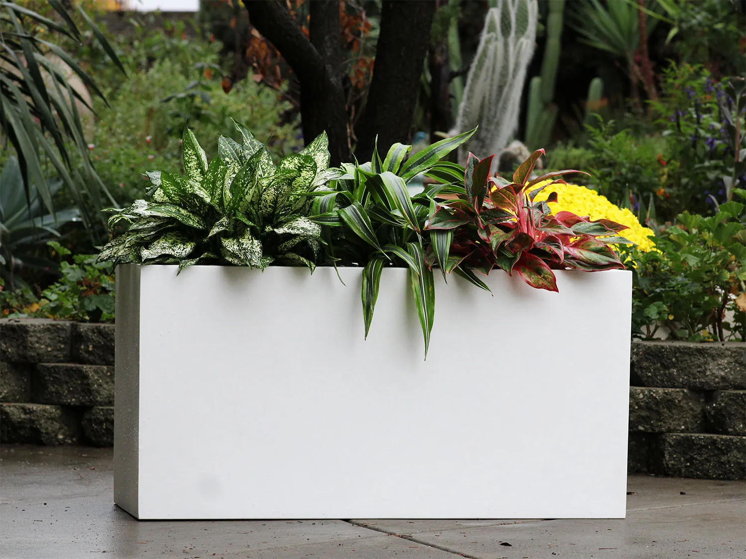 Rectangular Box Planter
