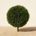 Ultraviolet Cedar Ball Topiary, 18 Inch