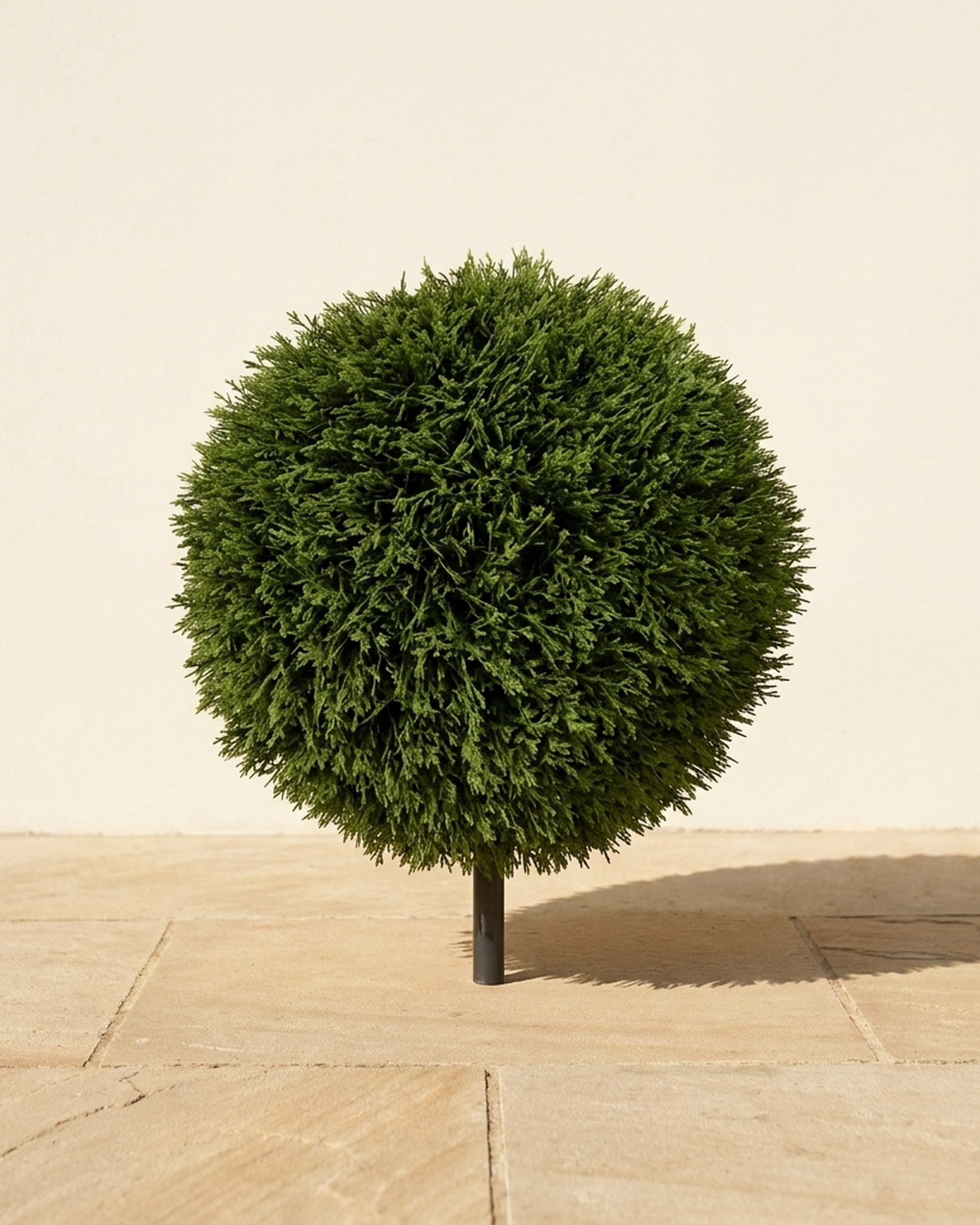 Ultraviolet Cedar Ball Topiary, 18 in Ultraviolet Cedar Ball Topiary, 18 in
