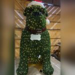 Bulldog "Scotty" Outdoor Boxwood Topiary, 20 ft