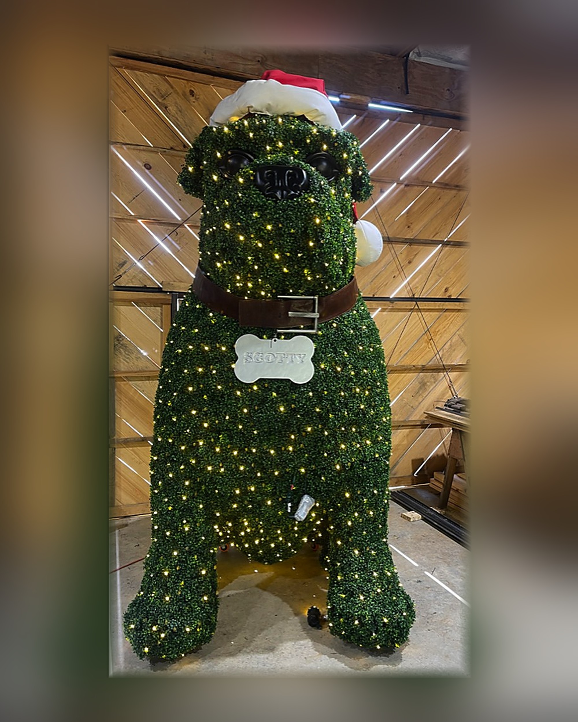Bulldog "Scotty" Boxwood Topiary, 20 ft Bulldog "Scotty" Boxwood Topiary, 20 ft