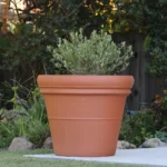 Heavy Rim Pot — Natural